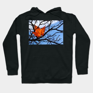 Fallen Red Maple Leaf Hoodie